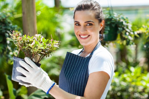 Green waste removal and garden clearance in a urban courtyard