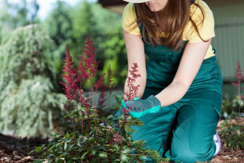 Staff member guiding a visitor with mobility aid through garden pathways
